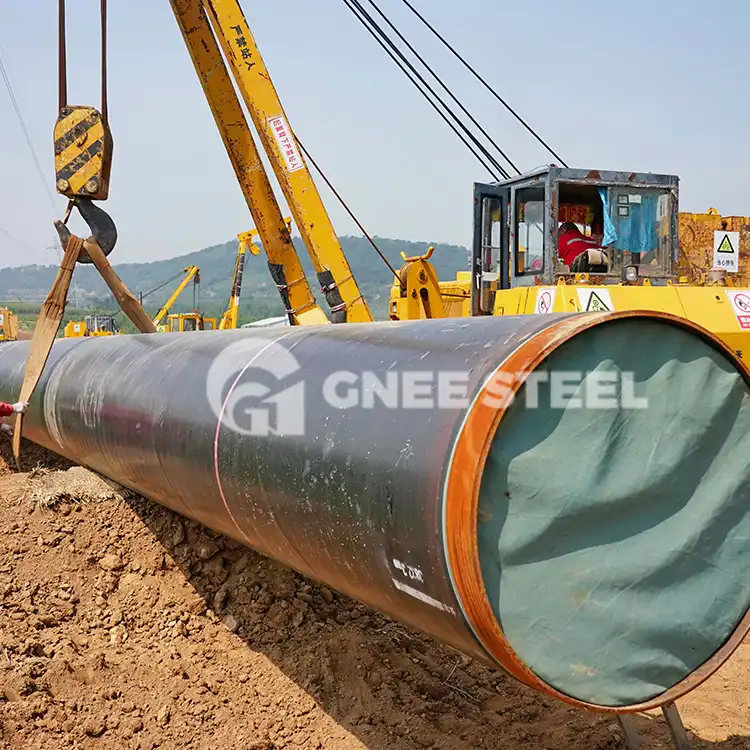 Projecte del terminal i de les instal·lacions del cru caofeidià
